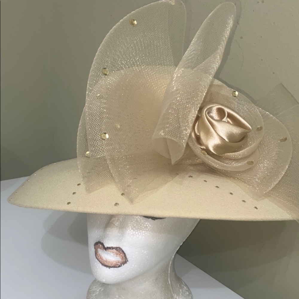 Beautiful Dress/Church Hat By Lisa Ren’e